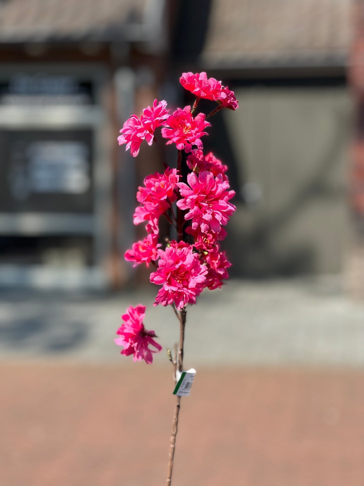 Blossom tak | Roze Woonunique