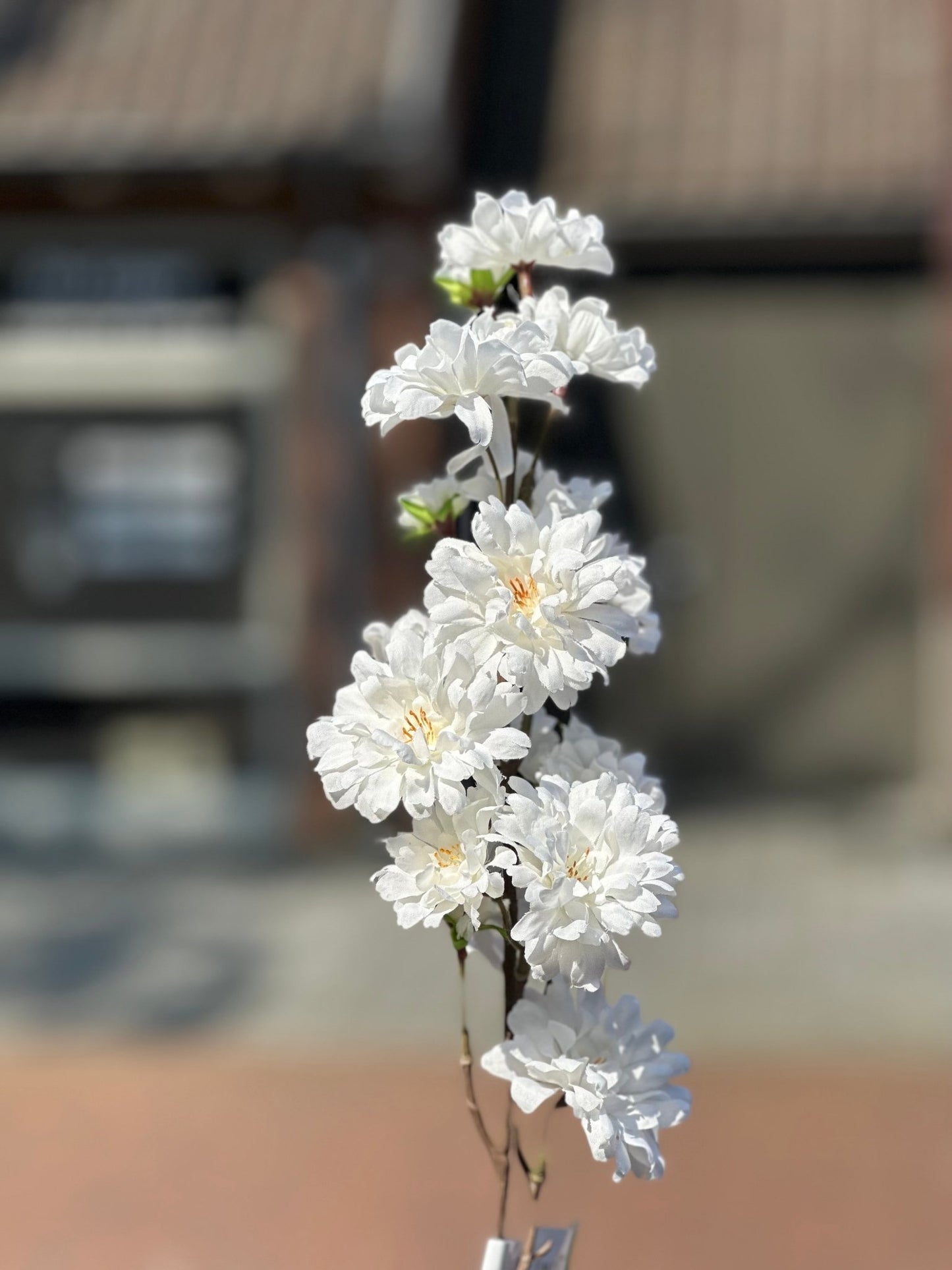 Blossom tak | Wit Woonunique