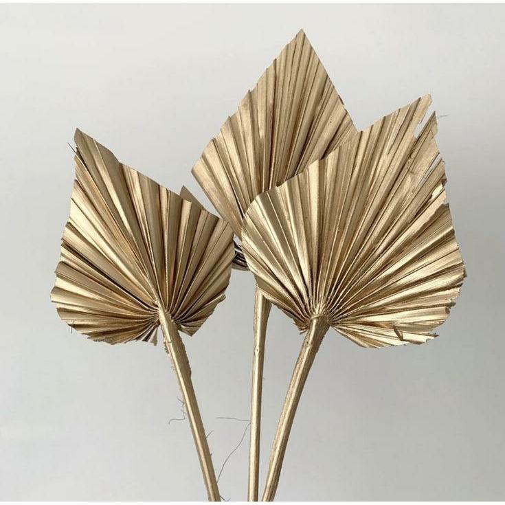 gedroogde palmbladeren | Goud | 3 stuks Woonunique