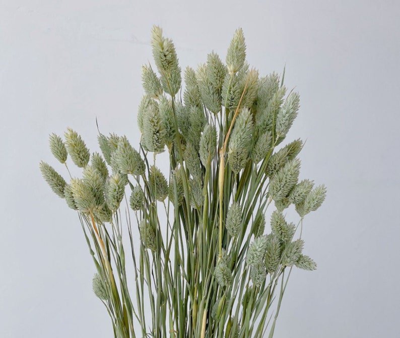 Sierlijk Gras Groen | 10 stuks Woonunique