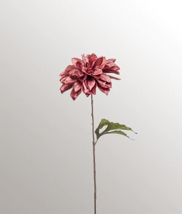 Velvet Dahlia | Mauve Woonunique