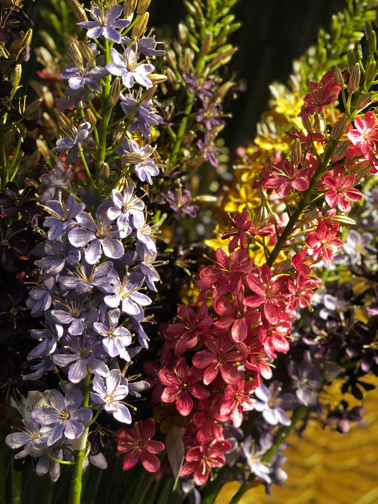 Velvet Eremurus | Mauve Woonunique