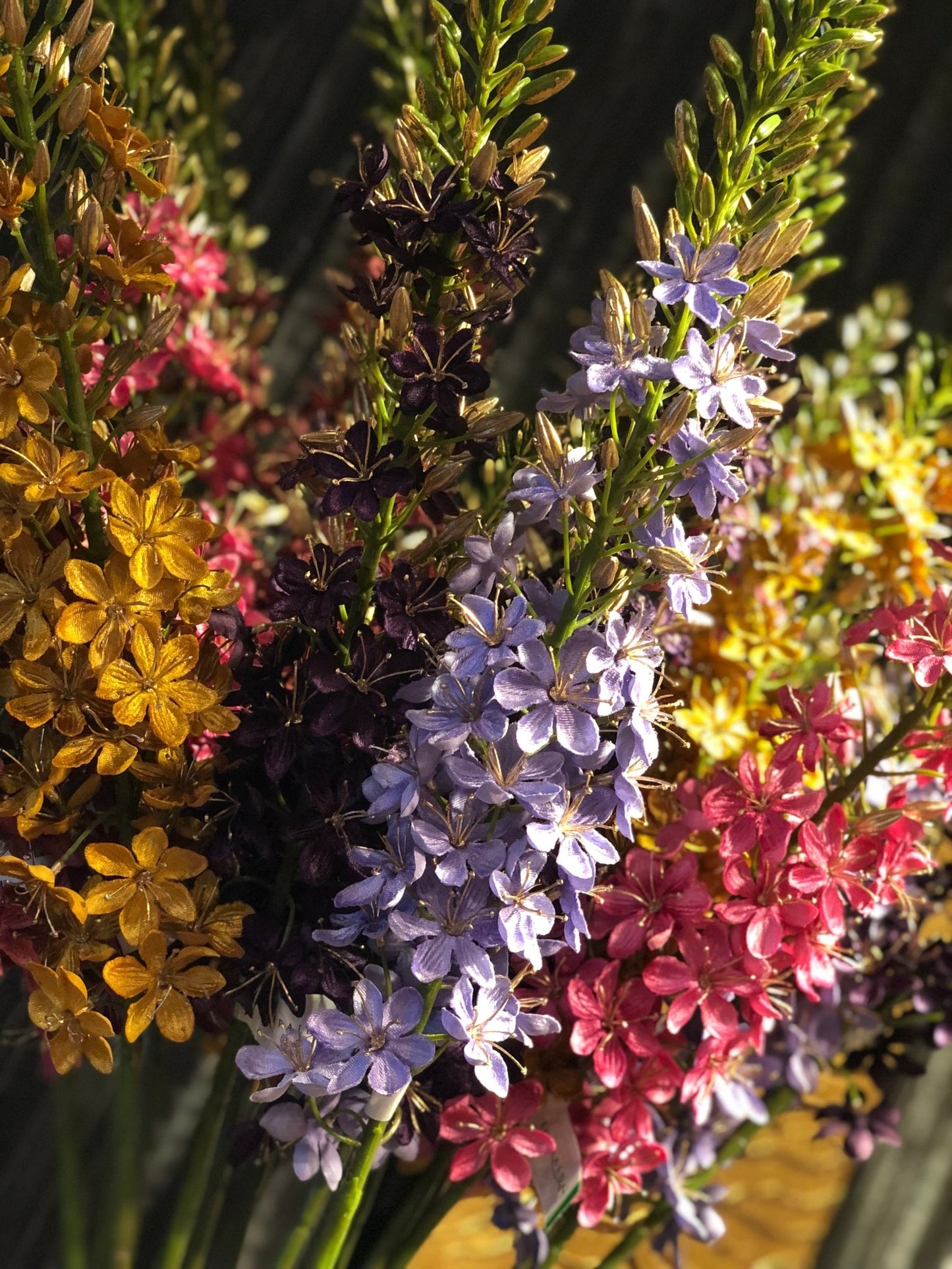 Velvet Eremurus | Mauve Woonunique