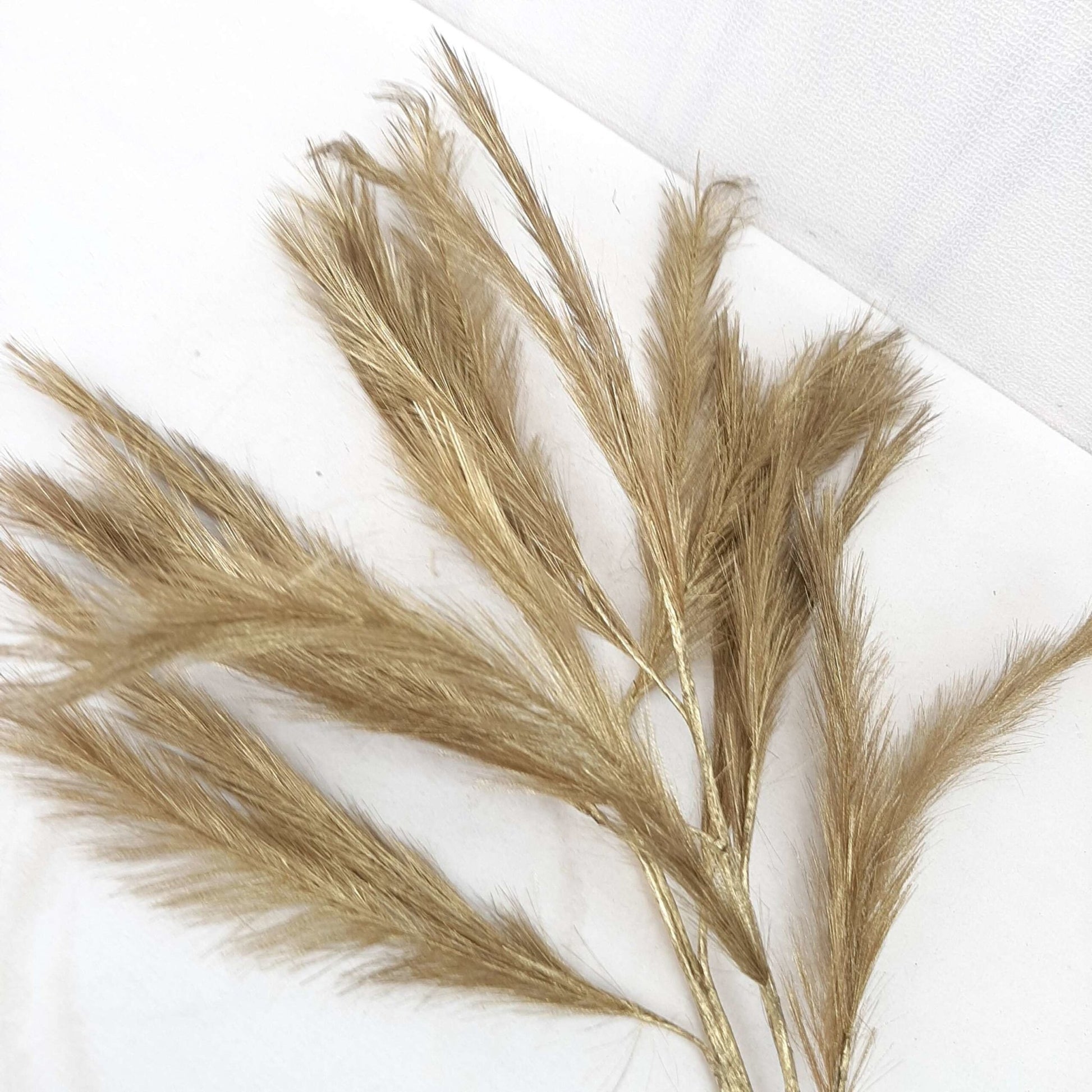 Panicle Grass Pluim | Goud Woonunique
