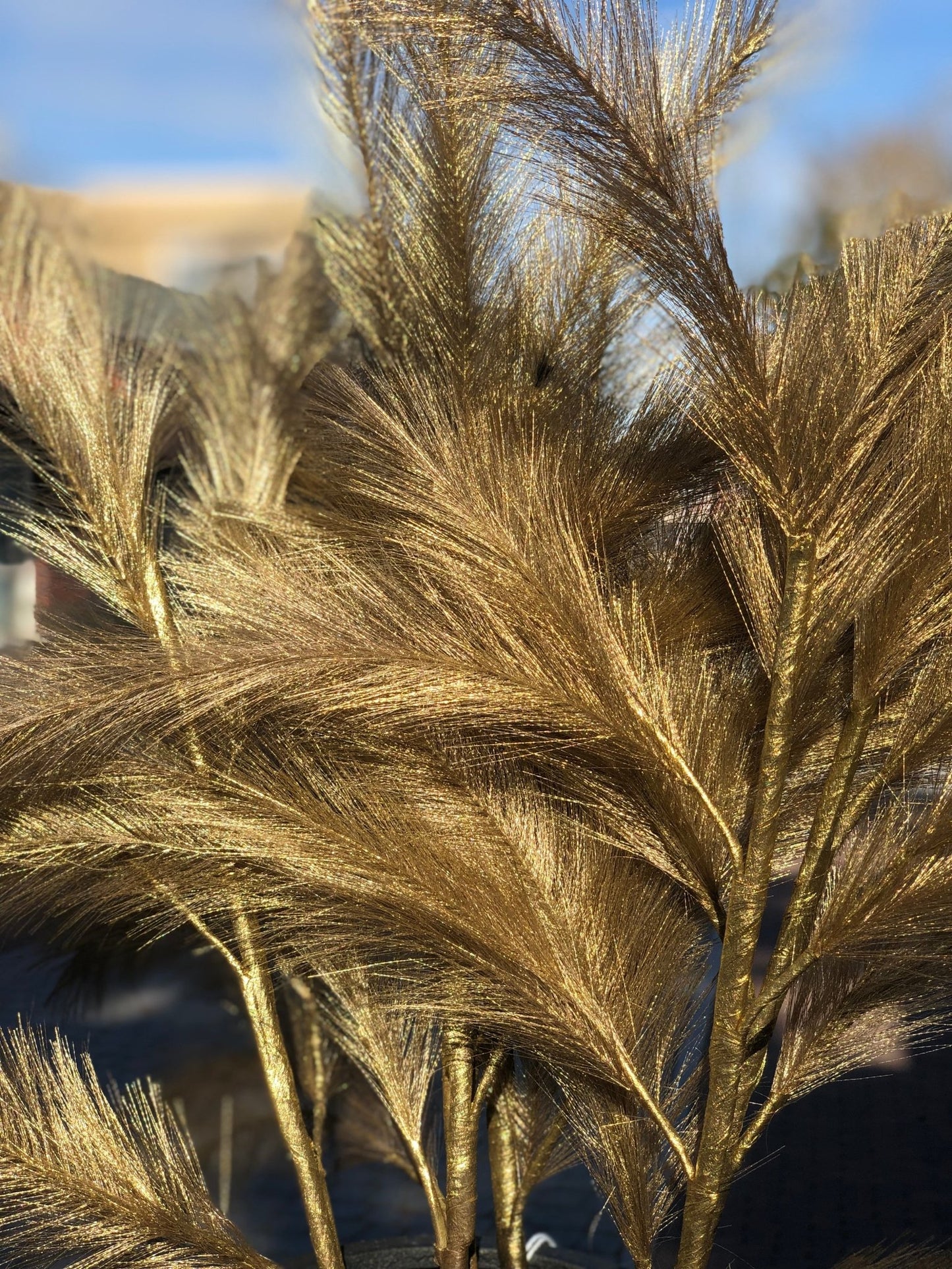 Panicle Grass Pluim | Goud Woonunique